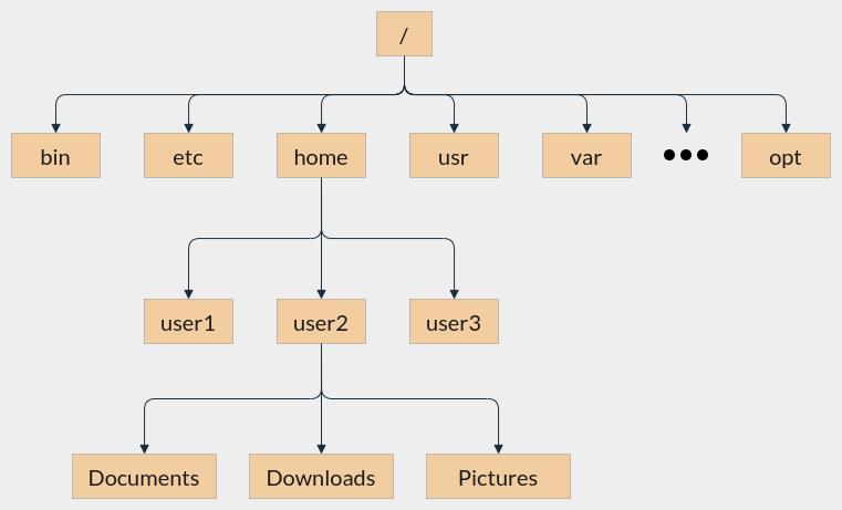 Linux Basics